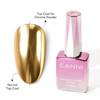 Poudre métallique chromée haute pureté CANNI pour la décoration des ongles, effet miroir, pigment métallique, poudre chromée avec couche de finition