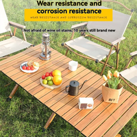Table pliante réglable portable en acier inoxydable moderne de haute qualité pour l'extérieur, la plage, le pique-nique, le camping