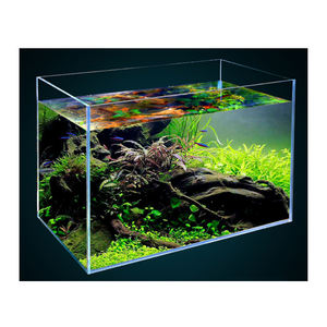 fish tank afterpay