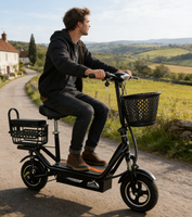 Trottinettes électriques en stock d'usine, vélos électriques puissants pour adultes, vélos de ville électriques, vélos électriques 10 pouces pour adultes, trottinettes électriques