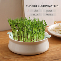 Plateaux de germination en céramique et terre cuite, plateaux de pépinière écologiques et portables pour la culture de semis et de micro-légumes