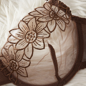 Nuovo Set di Lingerie Gotica in Pizzo Caramello Traforato, Due Pezzi, Reggiseno Mezza Coppa Sottile, Traspirante e Confortevole - Product Image 2