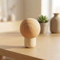 Bouchons de bouteille en polymère Hickory Mushroom Head en gros – Bouchons de vin premium pour une fermeture hermétique