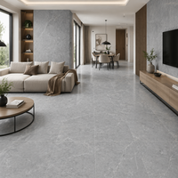 Dalle en pierre frittée grise mate DCT 1200*2600*12mm, imperméable et antidérapante pour la décoration des murs et sols intérieurs