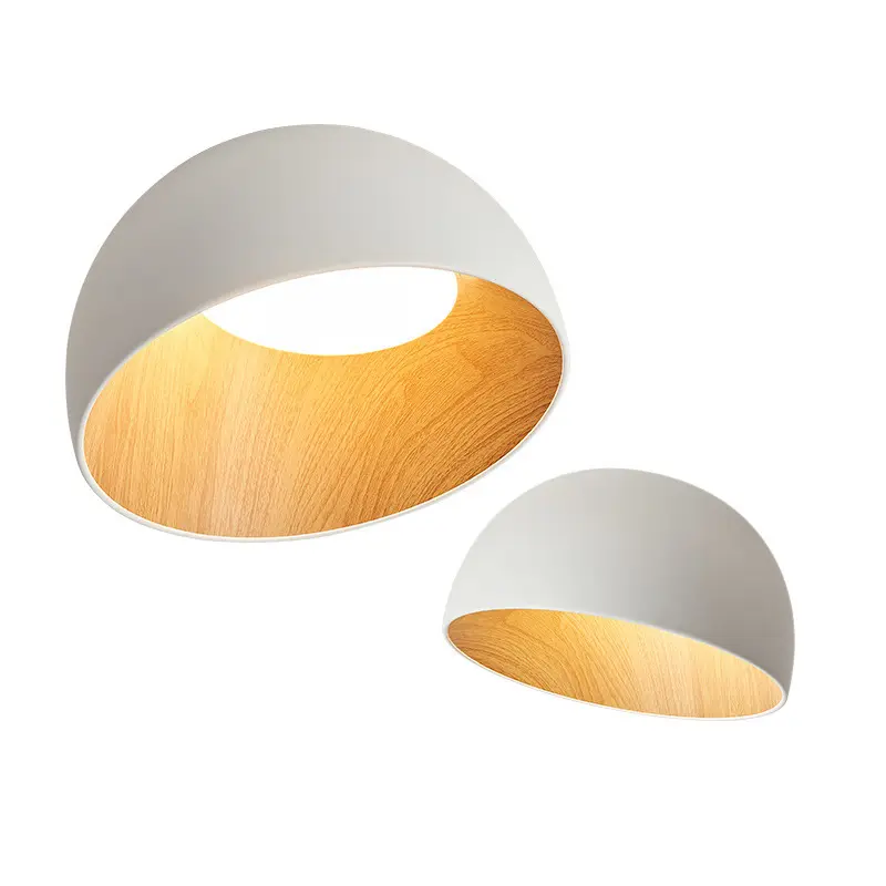 Nordic Led Plafondlamp Ijzer Acryl Kom Plafond Voor Slaapkamer Studie Gang Garderobe Balkon Woonkamer Huishoudelijke Apparaten Lampen