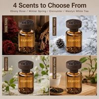 Parfum de luxe pour voiture : Nouveau diffuseur longue durée - Ornement parfumé purifiant l'air et éliminant les odeurs