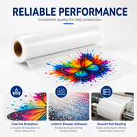 Film de transfert thermique DTF lavable au toucher doux pour vêtements, rouleau de transfert PET 30cm/60cm pour presse à chaud, compatible Epson DTF