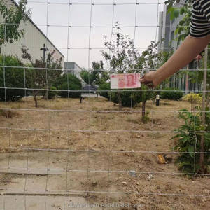 Clôture de terrain en alliage de zinc-aluminium pour environnements extrêmes, clôture de ferme bovine à articulation à charnière à haute résistance - Product Image 5