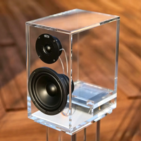 Boîtier d'enceinte basse en acrylique transparent sur mesure, en lucite polie, pour studio à domicile