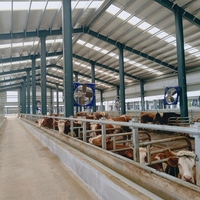 Structure en acier préfabriquée sur mesure de haute qualité à prix compétitifs pour l'élevage de porcs, bovins, chèvres et volailles