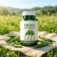 Kapsul Ekstrak Okra Kesehatan Jantung Antioksidan Pendukung Pencernaan Usus Ekstrak 10:1 120 Kapsul Vegan Dewasa Grosir OEM