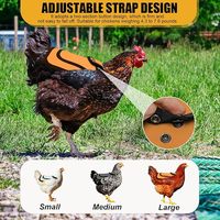 Selle de protection dorsale Beckon Custom 600D Oxford pour poules avec sangle réglable – Idéale pour l'accouplement des poulets