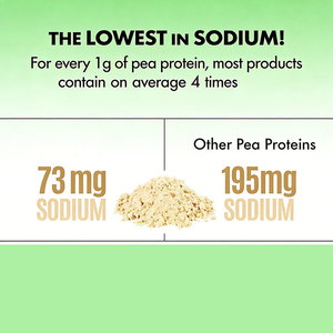 Proteína de Chícharo en Polvo Vegana Orgánica Sin Sabor, Baja en Carbohidratos, Personalizable y de Rápida Absorción de Richtek - Product Image 3