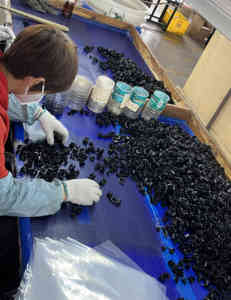 Buje a presión negro de 3/4 "de diámetro de montaje de nailon a presión en el Cable, protectores de ojal de buje de manguera de 9/16", para Cable de" - Product Image 6