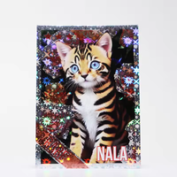 Cartes de jeu TCG personnalisées OEM, designs personnalisés, étoiles holographiques brillantes, cartes à collectionner d'anime, jeux de cartes, boosters aléatoires