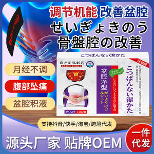 Japon pelvik sıcak Compress s paketi çin alçı pelvik effüzyon macun etkili merhem endometrit alt karın - Product Image 2