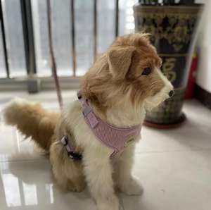 Arnés reflectante de moda para perro, Correa personalizada de diseño para exteriores, <span class=keywords><strong>collar</strong></span> para mascota de pana resistente, arnés para perro <span class=keywords><strong>sherpa</strong></span> personalizado - Product Image 4