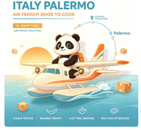 Logistique Aérienne Internationale vers Palerme, Italie, Service Porte-à-Porte, Dernier Kilomètre, Transit Stable, Prix Compétitif Garanti
