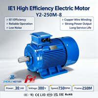 Moteur AC triphasé basse tension IE1 30kW 40HP 50HP 60HP 75HP 100HP 125HP 150HP en fonte, couple élevé, carter en fonte