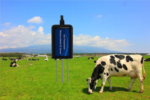 LORA LORAWAN 4G WIFI GPRS 4 en 1 sensor de temperatura y humedad <span class=keywords><strong>del</strong></span> suelo y CE y salinidad - Product Image 6