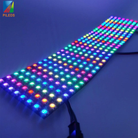 PILEDS Led Matrix vente en gros Flexible RGB Pixel Panel DIY Programmable affichage écran DC5V WS2812 SK6812 WS2812b 8x8 8x32 16x16