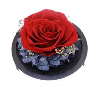 Hot verkopende cadeaudoos met eeuwigdurende rozen, moederdagcadeau, eeuwige roos, Halloween cadeau, eeuwigdurende rozen