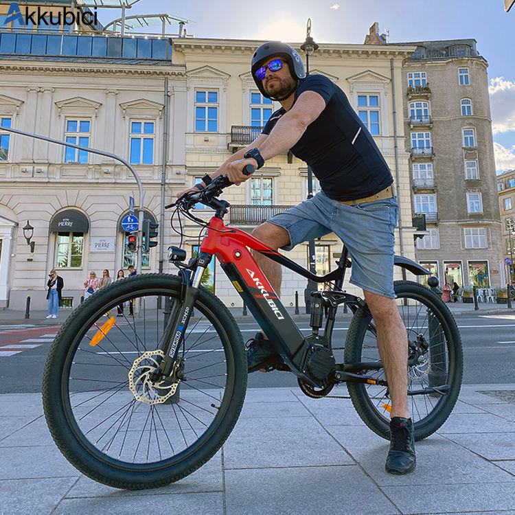 mountain bike 29 zoll