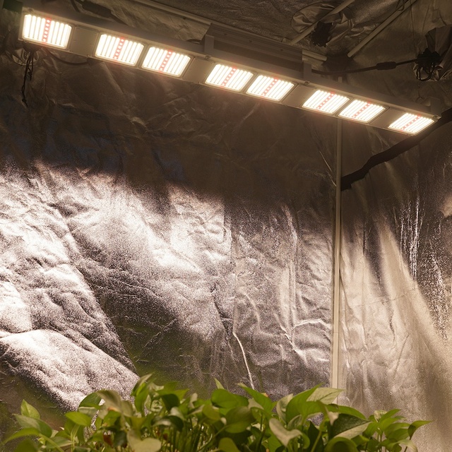 New Grow Led 320w Board Lm301h UV IR Separate Control Samsung 301h Evo Grow Box Vertical Farming Led Grow Lights