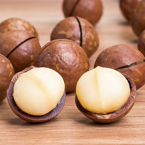 Noix de macadamia <span class=keywords><strong>séchées</strong></span> brutes de haute qualité, saines et économiques, peau brune, chair blanche, qualité snack, grade A, baril de 500g - Product Image 6