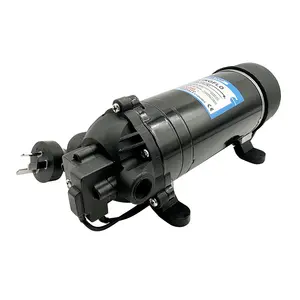 속도 컨트롤러와 새로운 스타일 160psi 5.5GPM 220V 전기 다이어프램 펌프