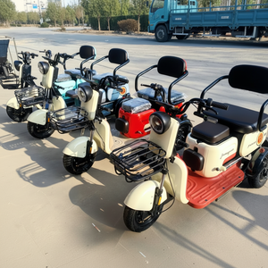 รถสามล้อไฟฟ้า V8 มอเตอร์ 500 วัตต์ ความเร็วเดียว 48 โวลต์ โครงเหล็กกล้าคาร์บอนสูง รุ่นใหม่ ปี 2024 - Product Image 1