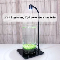 Nouvelle arrivée haute luminosité 3W LED spectre complet micro paysage croissance lumières pour bouteille écologique intérieur terrarium vase pot