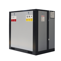Un étage PM Variable/Fréquence de puissance 110V/220V/380V Mini compresseur d'air à vis 2.2kw 3kw 4kw 5.5kw 7.5kw 11KW