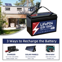 Batterie TEZE 12V 100Ah LiFePO4 avec Bluetooth, auto-chauffant et équilibreur actif, BMS Daly Smart 100A intégré