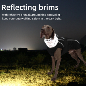 Luxury Elegant Dog Jacket Lightweight Dog Jacket Soft Skin-friendly Dog Jackets Winter Pet <strong>Clothes</strong> Wearable <strong>Clothes</strong> Wholesale - Product Image 4