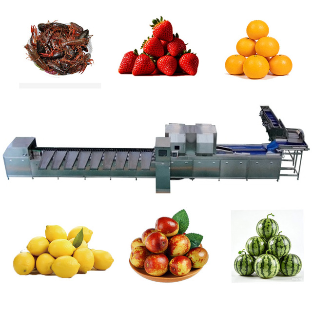 Blueberry Optical Sorter High-Speed Classification for Juice Manufacturers
