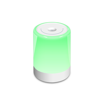 Tables de chevet pour enfants, 5 couleurs RGB, veilleuse bébé avec minuterie, lumière rouge, recharge USB type C, lampe de chevet bébé à piles
