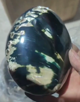 Coquillage d'Ormeau Rouge Naturel 3'' Spécimen de Gros Lisse Brillant Noir pour Brûler la Sauge