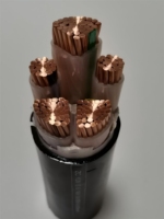 Câble électrique industriel YUWAN YJV3*10+1*6 450V basse tension, 3 conducteurs en cuivre toronné nu, gaine PVC, pour bâtiment et alimentation industrielle, ignifuge