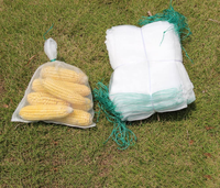 Aangepaste Verschillende Grootte Datum Palm Fruit Mesh Zakken Plant Beschermen Mesh Zakken Met Trekkoord
