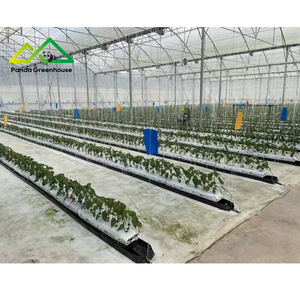 โรงเรือนปลูกพืชแบบโพลีฟิล์มทันเนิล เหมาะสำหรับการปลูกผัก ผลไม้ และดอกไม้ตลอดทั้งสี่ฤดูกาล - Product Image 6