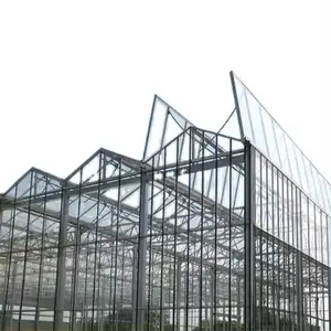 Invernadero de vidrio templado de gran tamaño Venlo de alta eficiencia con sistema de cultivo hidropónico de bajo costo para agricultura - Product Image 1