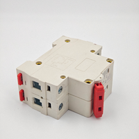 Interruptor Automático de Circuito de 2 Polos, 6A-63A, 220V CA, 50/60Hz, Tipo C, Capacidad de Ruptura de 6kA