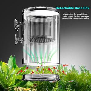 Caja de Aislamiento Suspendida para Peceras, Caja de Incubación Multifuncional, Caja de Cría y Crianza de Acrílico para Alevines de <span class=keywords><strong>Guppy</strong></span> - Product Image 4