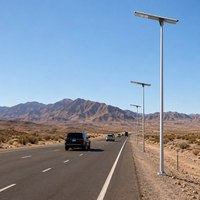 智能太阳能 LED 路灯，带 4G CAT-1 GPS IP66 功能，用于道路资产测绘和数字项目移交