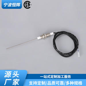 Sensor de Temperatura HF 008 con Cables Integrados para Aparatos de Gas - Product Image 3