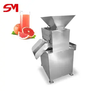Fabricant professionnel d'extracteur de jus de fruit de la passion orange approuvé CE faisant la machine