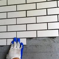 Mortier collé de mur extérieur de ciment industriel de haute résistance de polymère d'isolation pour le plâtrage