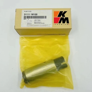 Cina fabbrica all'ingrosso Auto Diesel pompa carburante tens OE numero 31111 1 w100 - Product Image 3