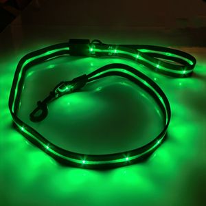 Usb C Oplaadbare Led Verlichte Hondenriem Reflecterende Nylon Pet Lood Met 12 Mode Kleuren Veranderlijke Eenvoudige Stijl - Product Image 2